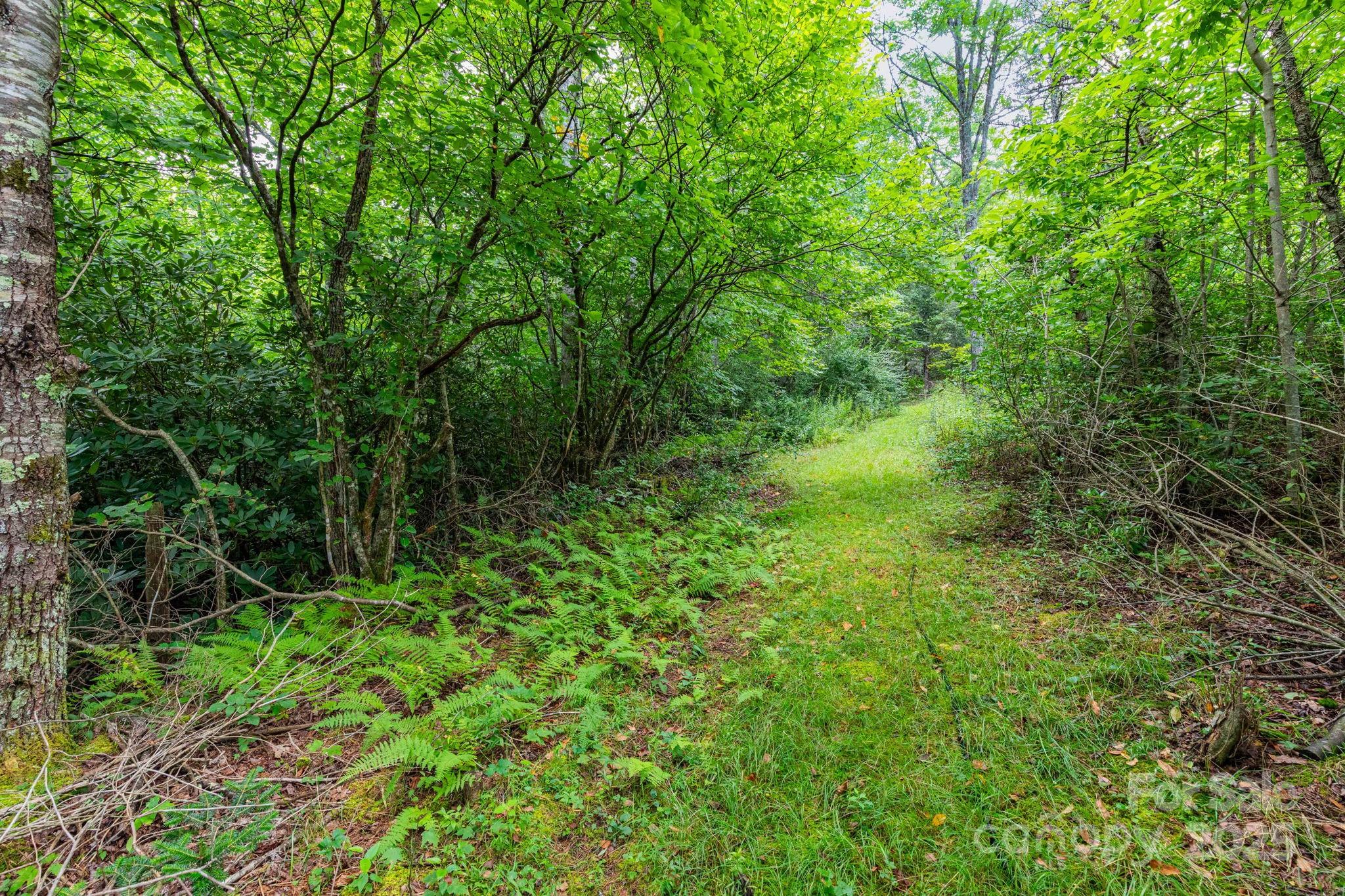 99999 Rock Creek Road Burnsville NC 28714