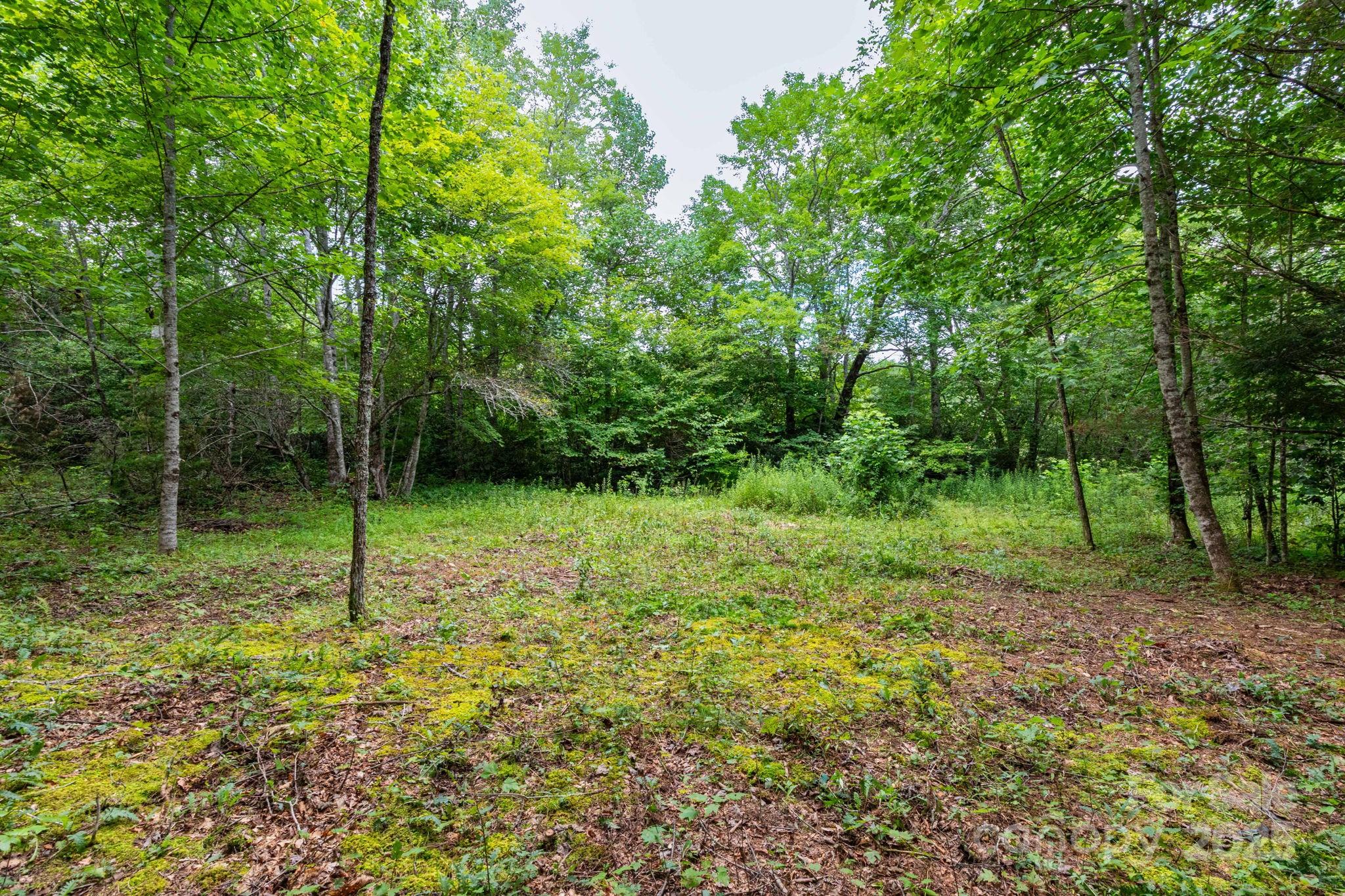 99999 Rock Creek Road Burnsville NC 28714