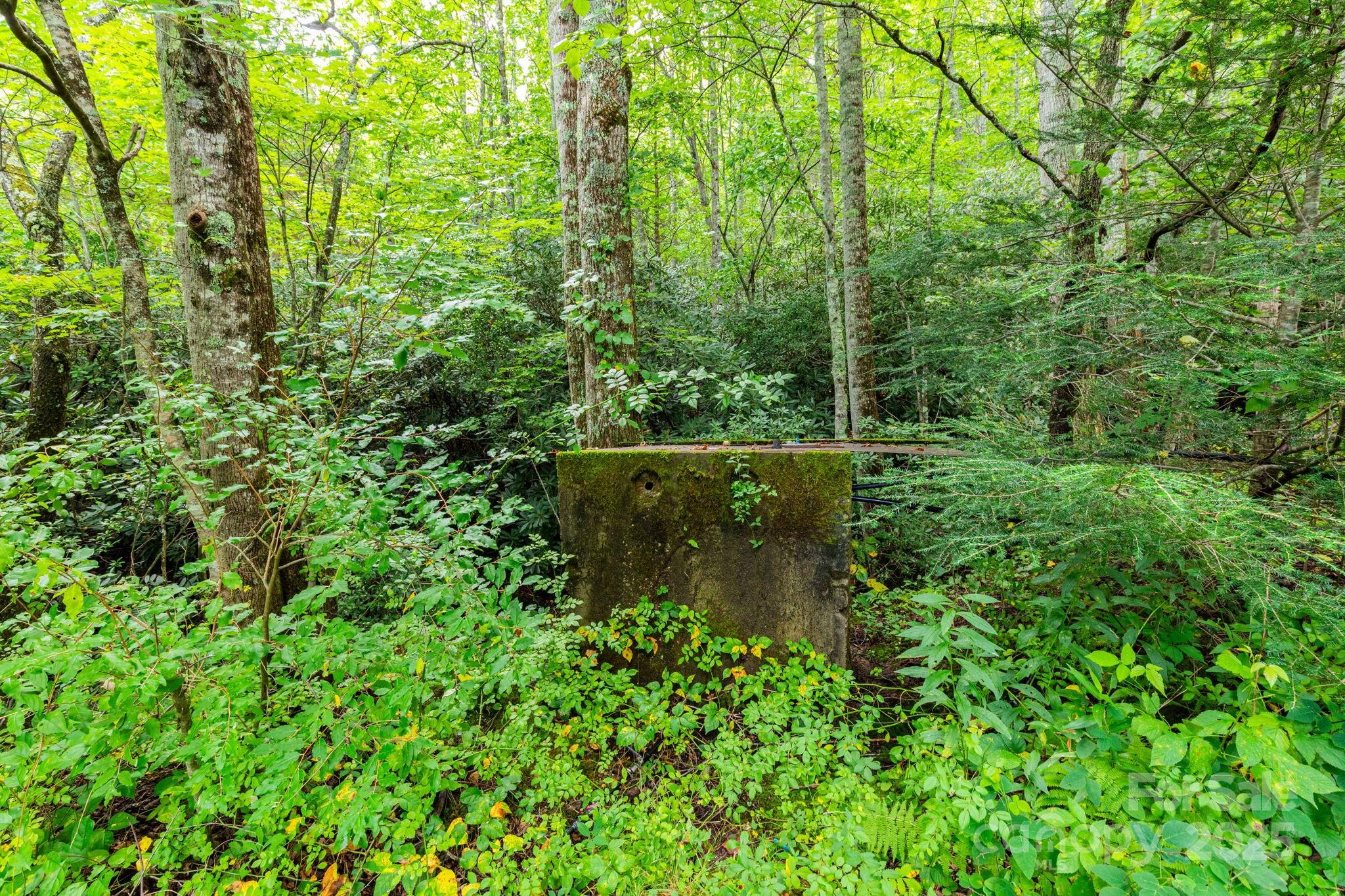 99999 Rock Creek Road Burnsville NC 28714