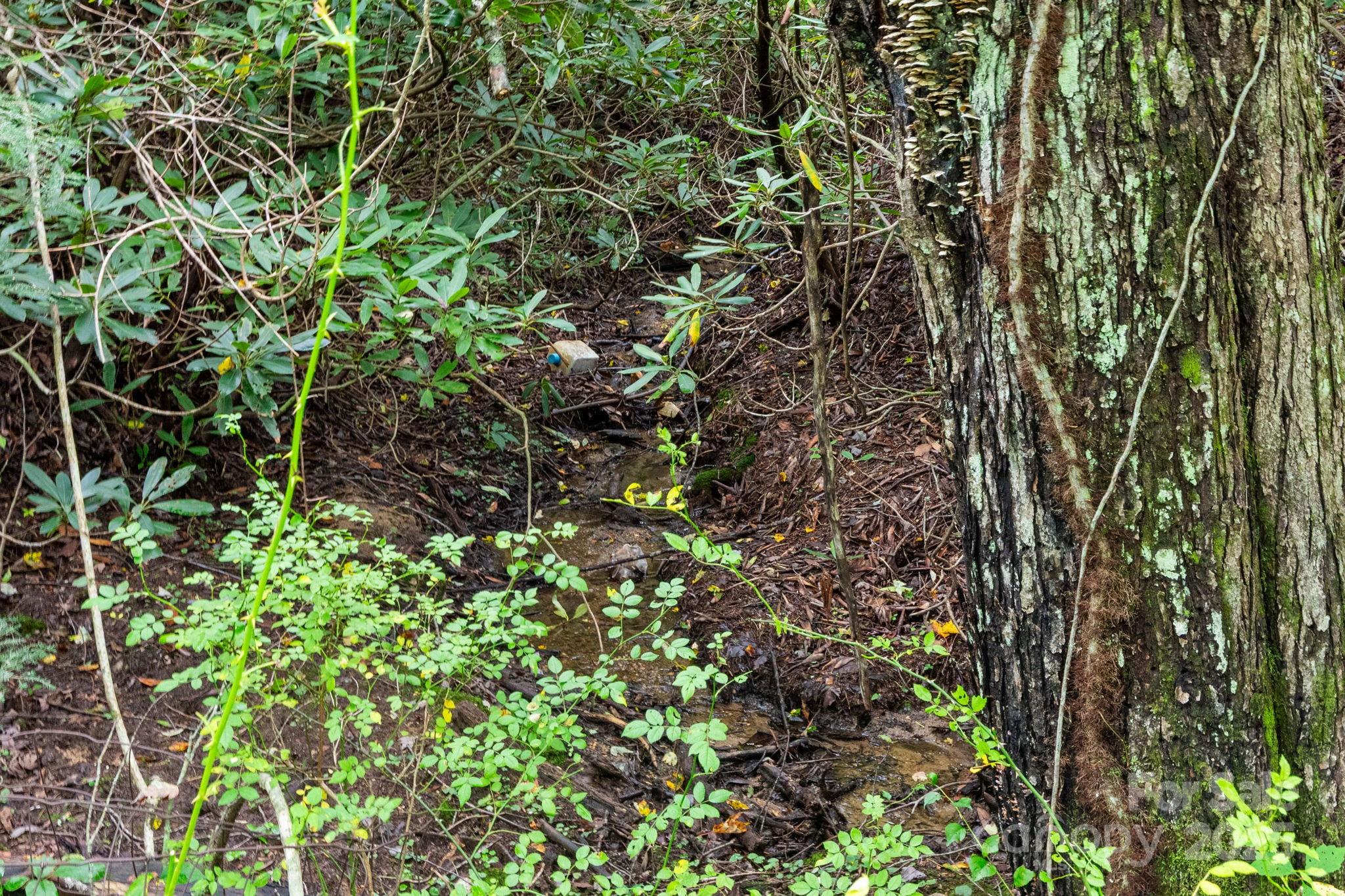 99999 Rock Creek Road Burnsville NC 28714