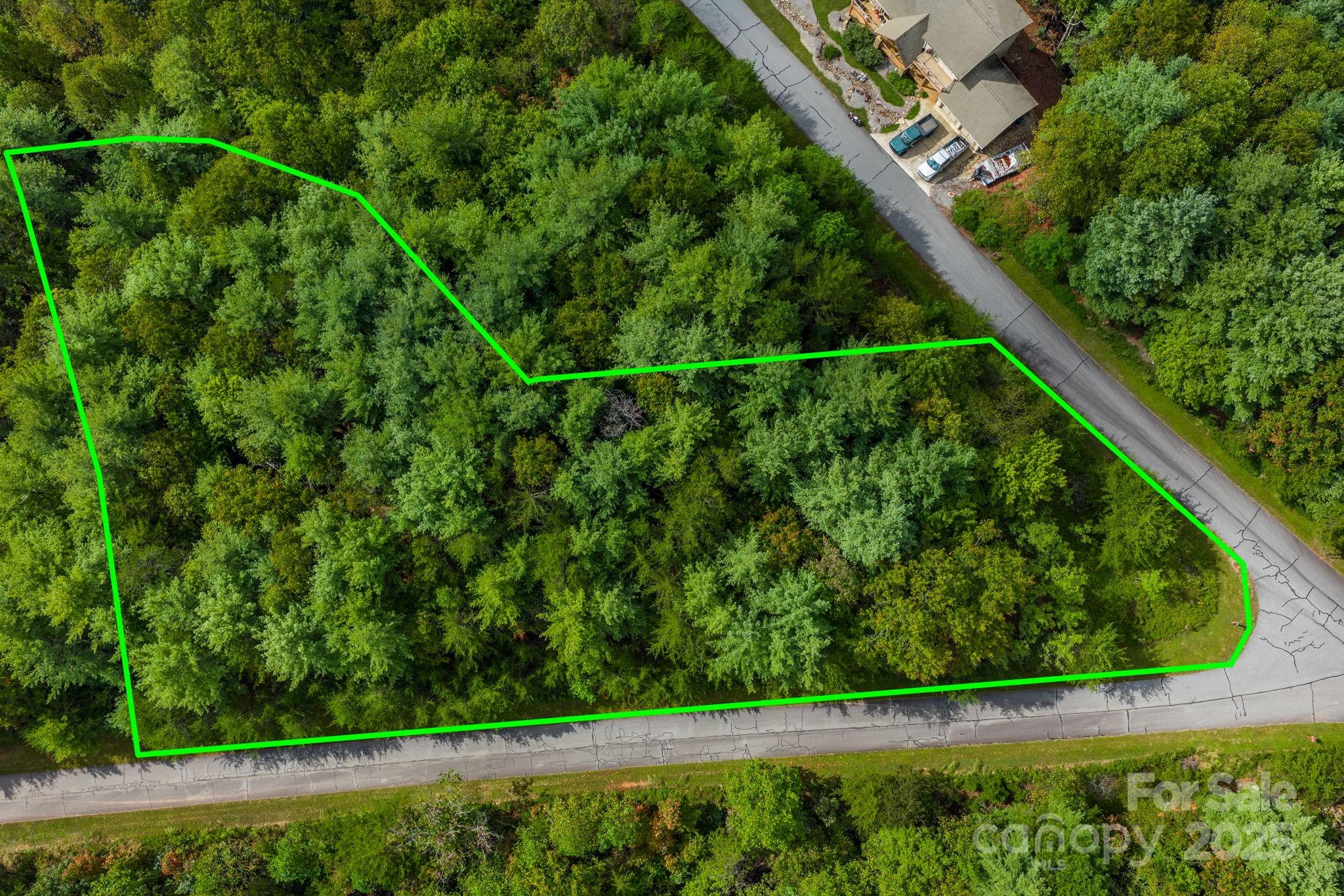 913 Bear Cliff Drive Nebo NC 28761