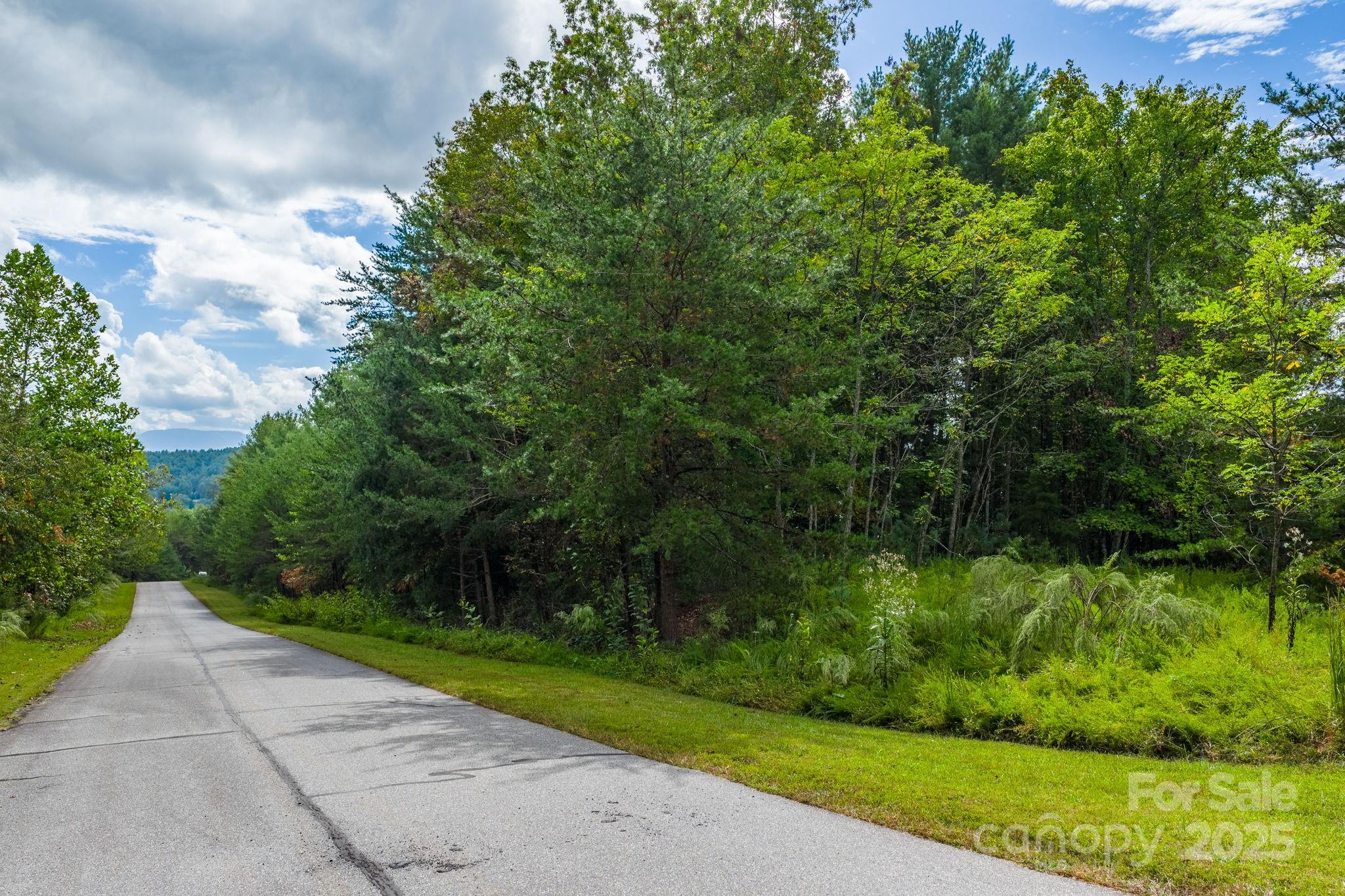 913 Bear Cliff Drive Nebo NC 28761