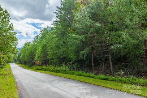 913 Bear Cliff Drive Nebo NC 28761