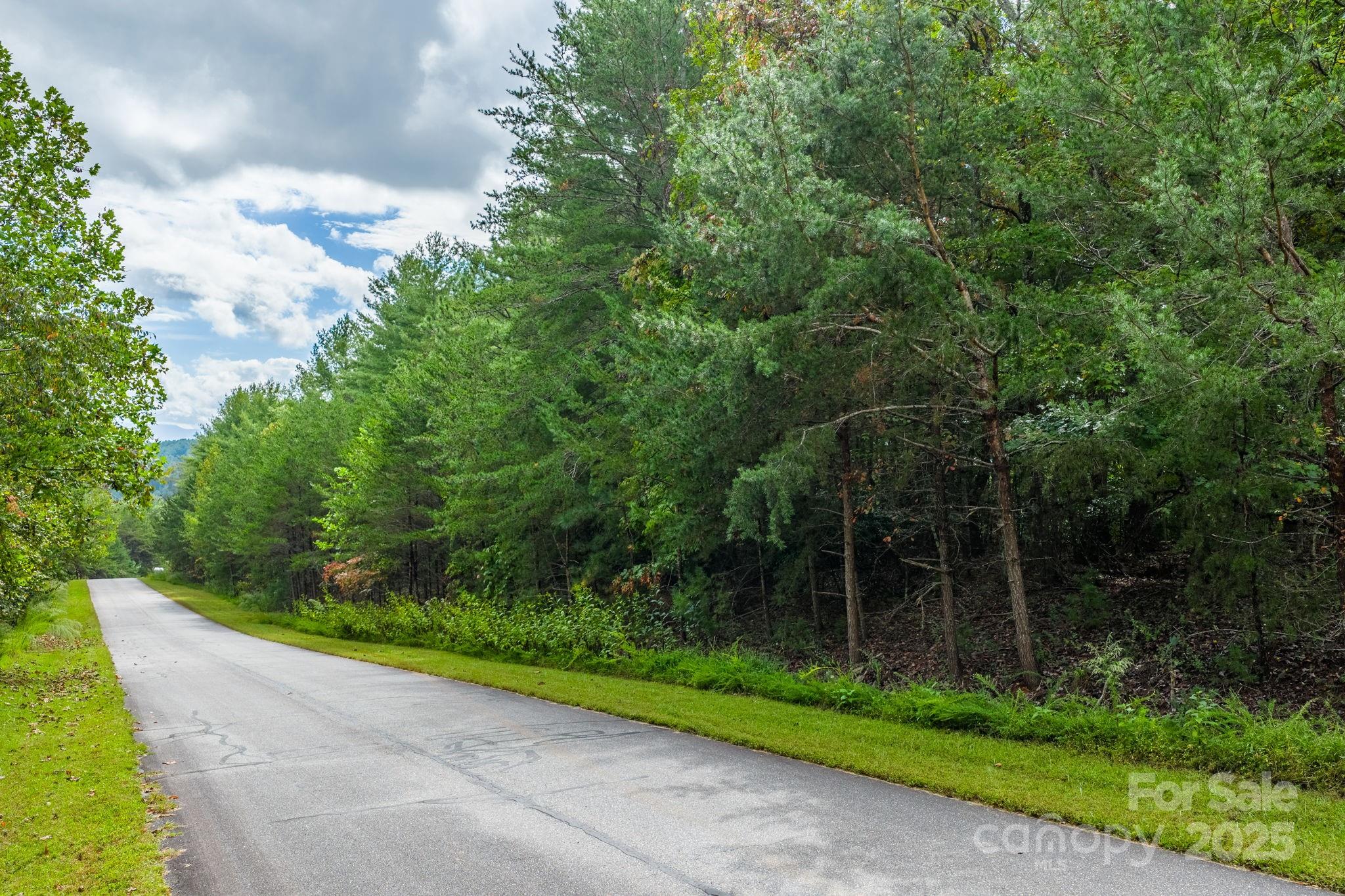 913 Bear Cliff Drive Nebo NC 28761