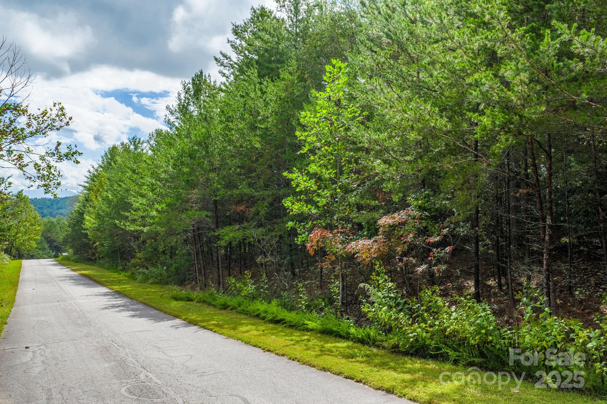 913 Bear Cliff Drive Nebo NC 28761