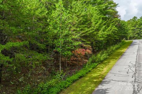 913 Bear Cliff Drive Nebo NC 28761