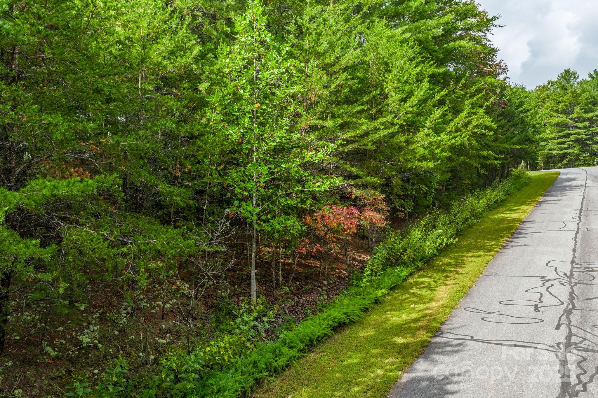 913 Bear Cliff Drive Nebo NC 28761