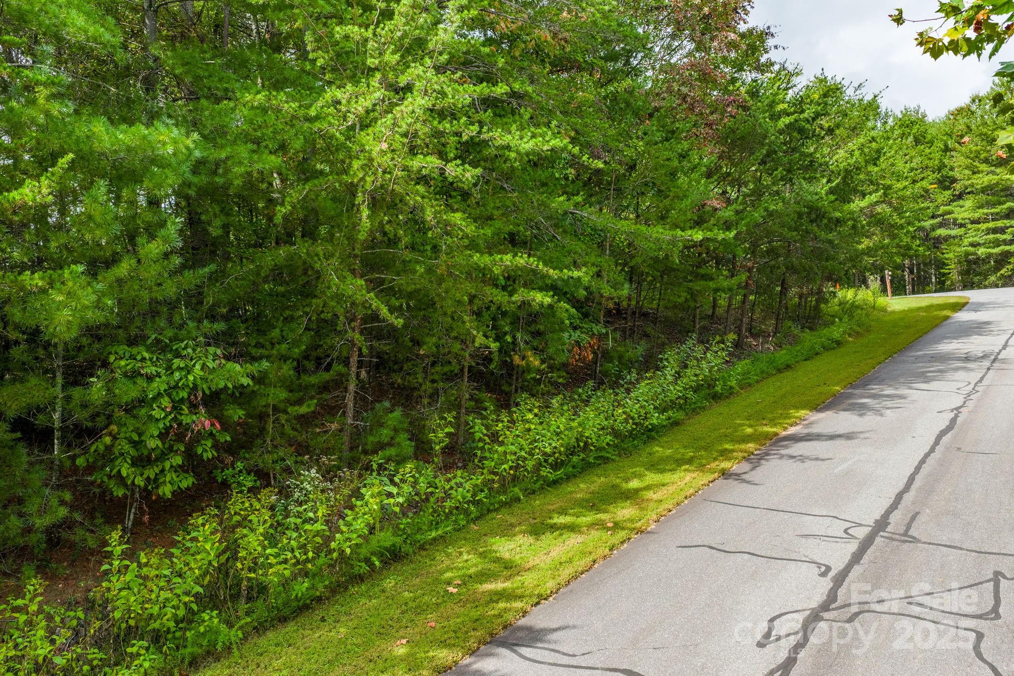 913 Bear Cliff Drive Nebo NC 28761