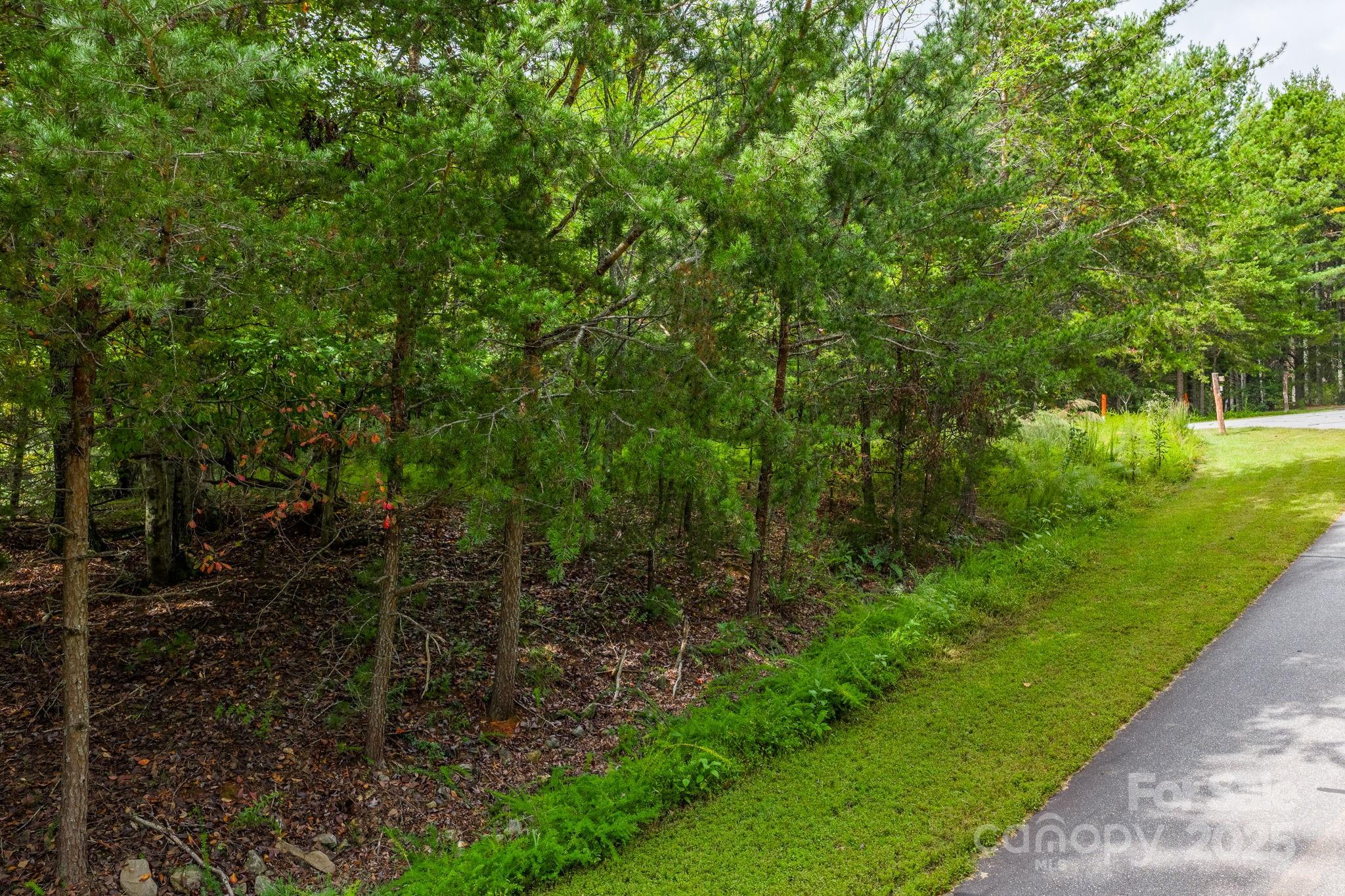 913 Bear Cliff Drive Nebo NC 28761
