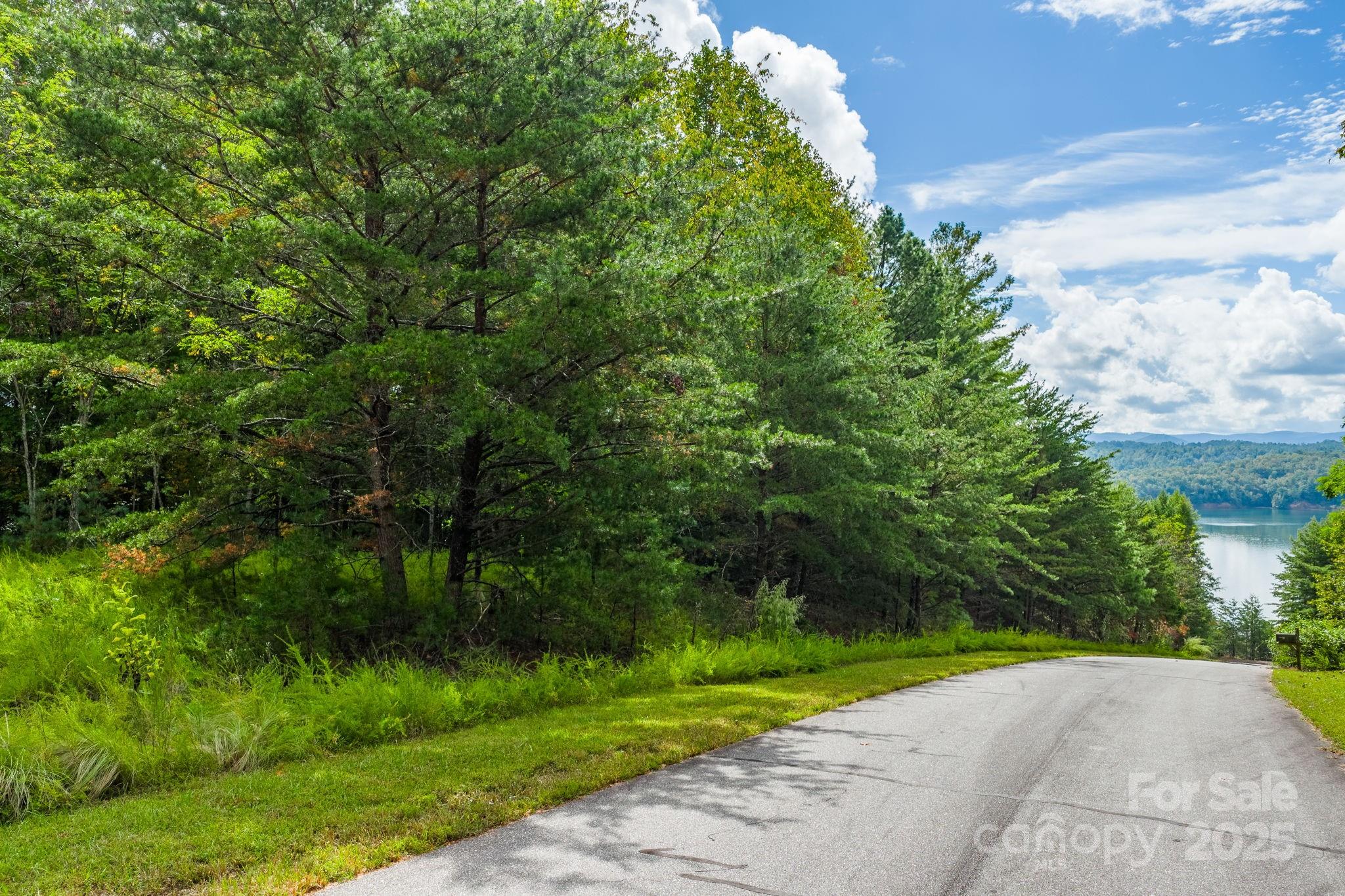 913 Bear Cliff Drive Nebo NC 28761
