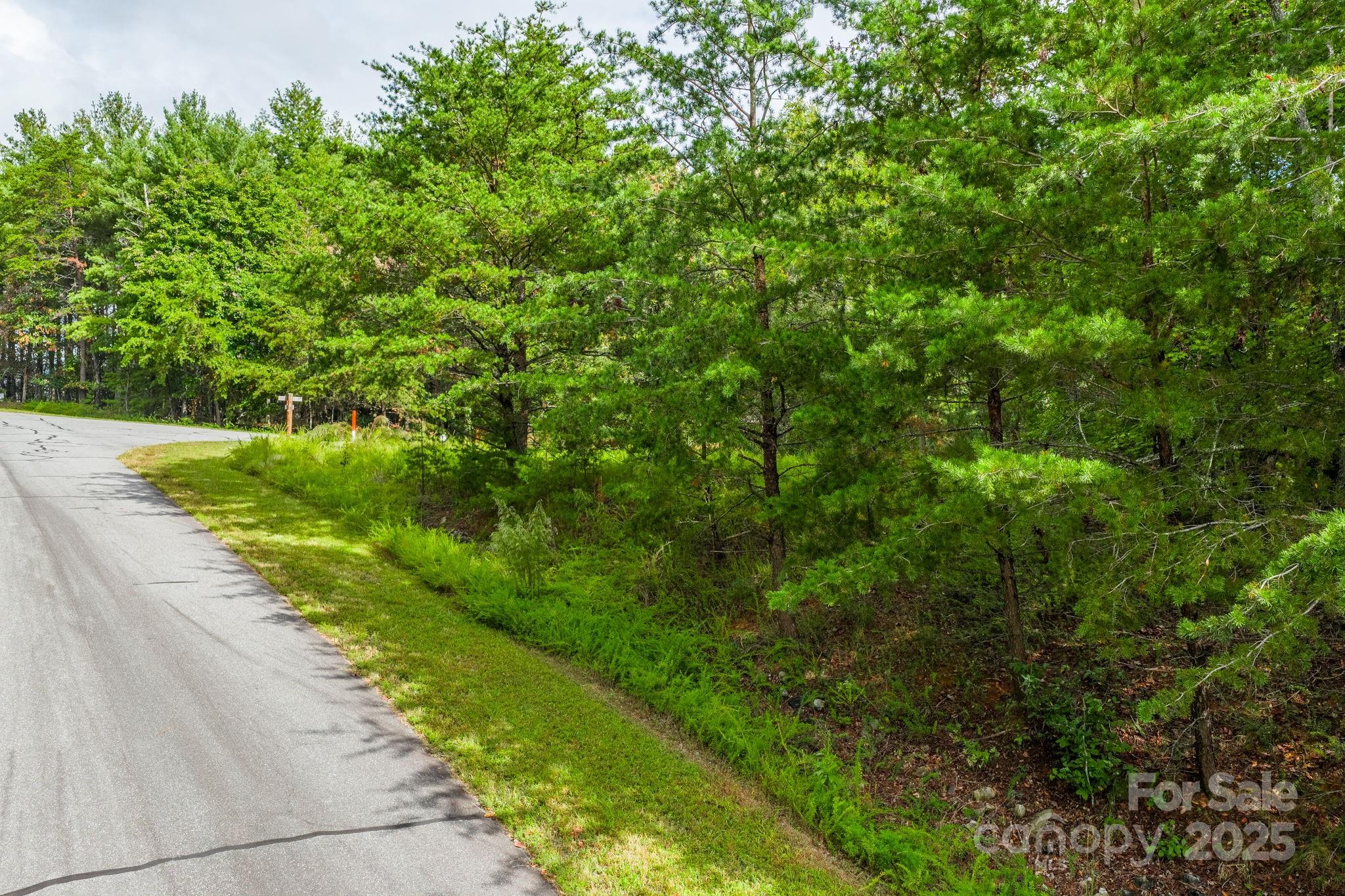 913 Bear Cliff Drive Nebo NC 28761