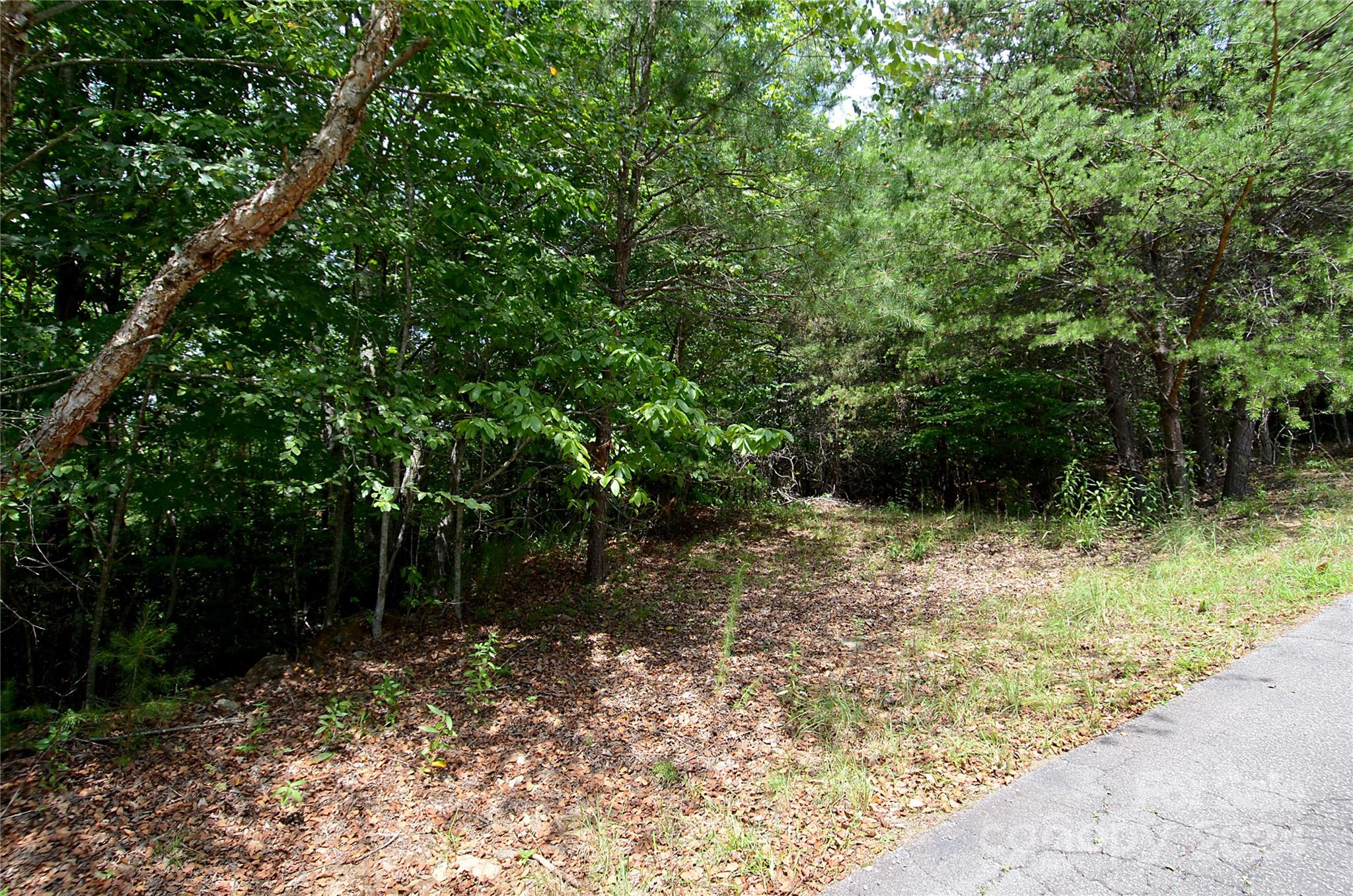 00 Victoria Drive Marion NC 28752