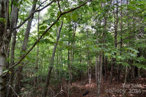 00 Victoria Drive Marion NC 28752