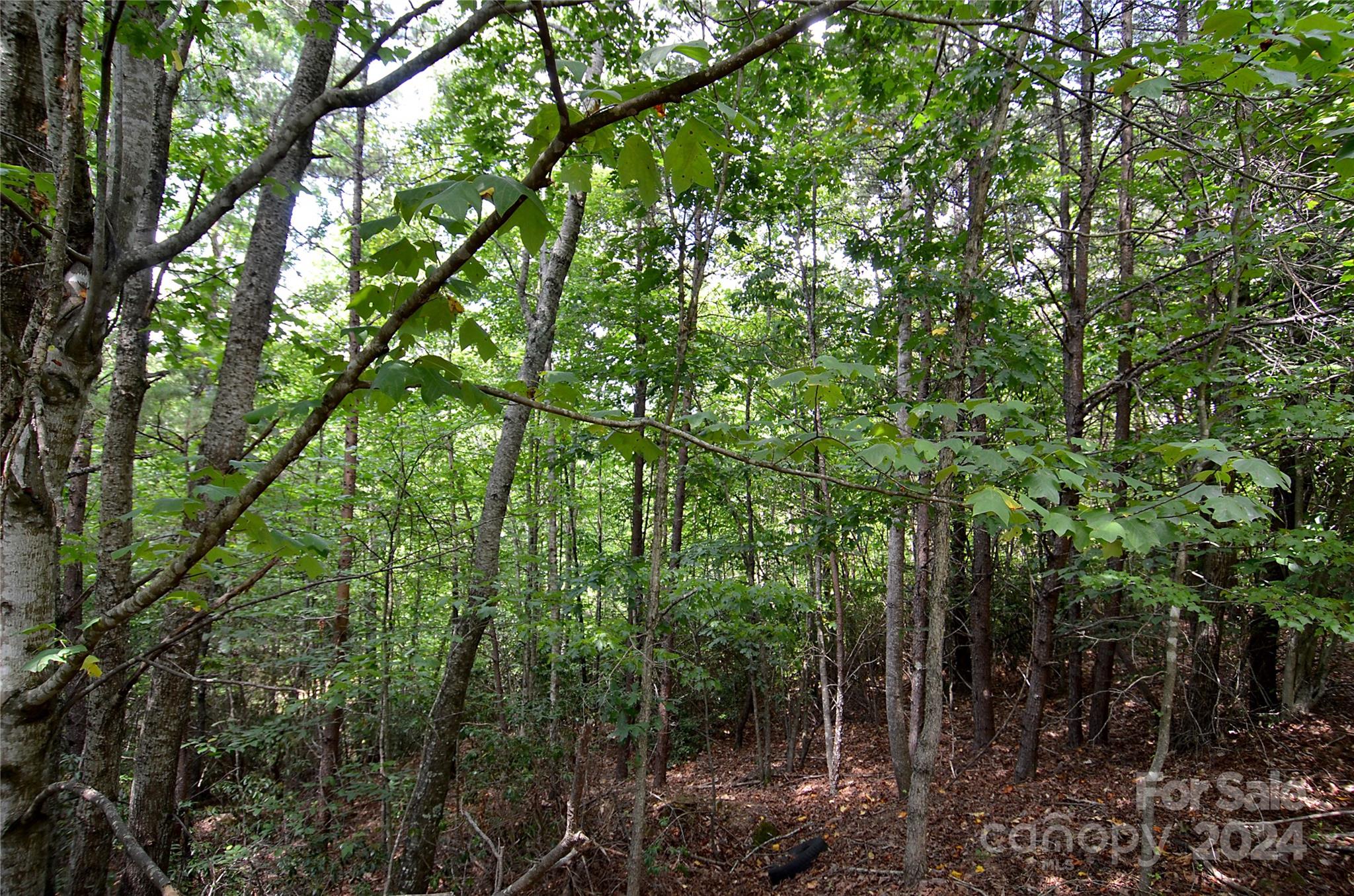 00 Victoria Drive Marion NC 28752