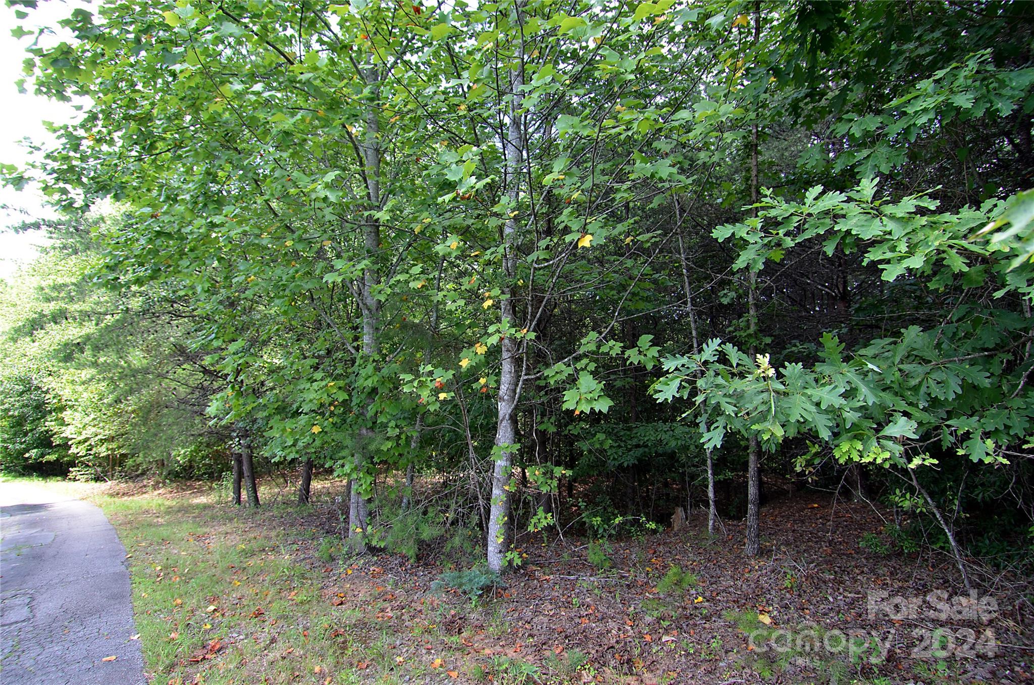 00 Victoria Drive Marion NC 28752
