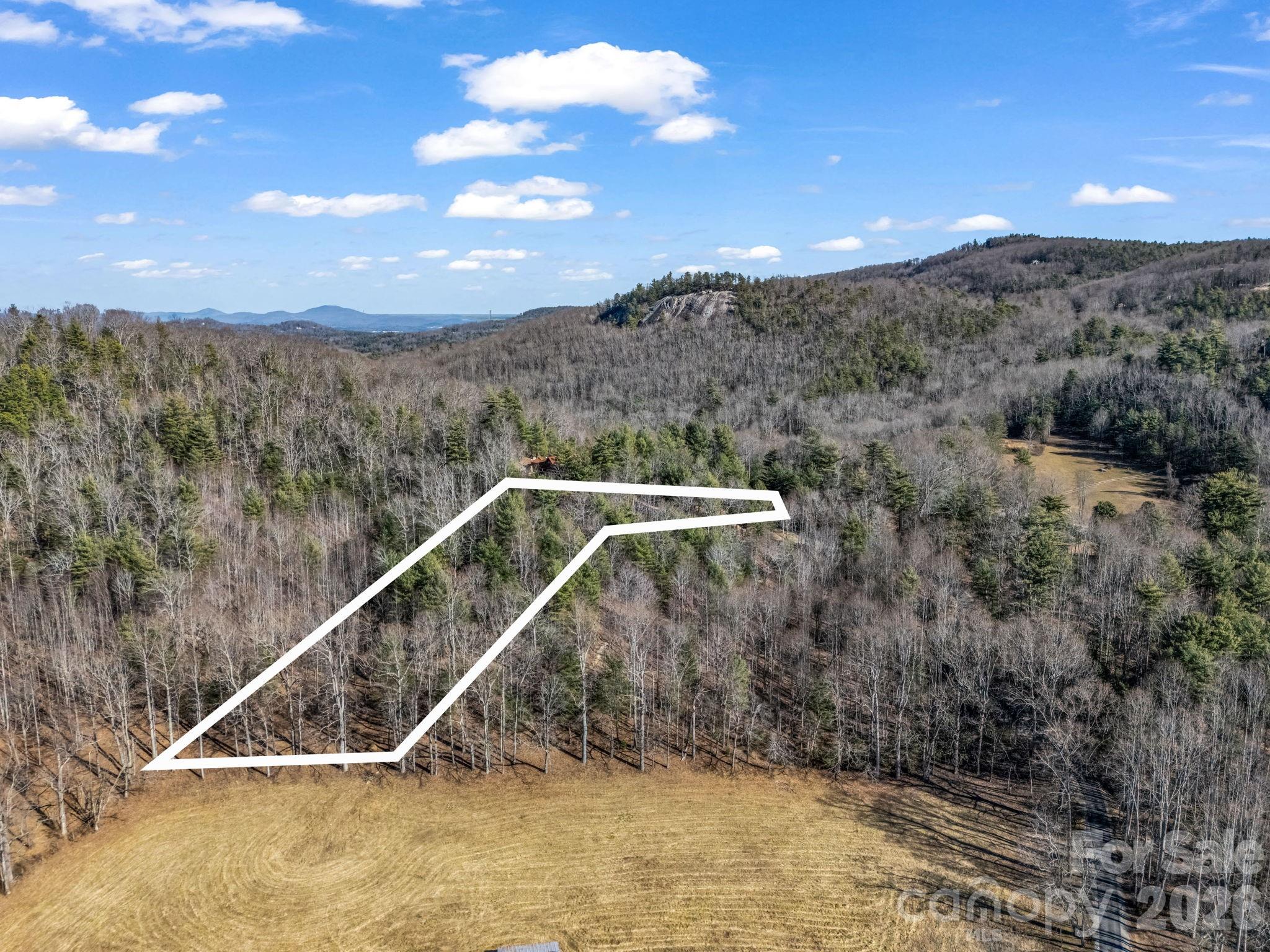 181 Justamere Lane Hendersonville NC 28739