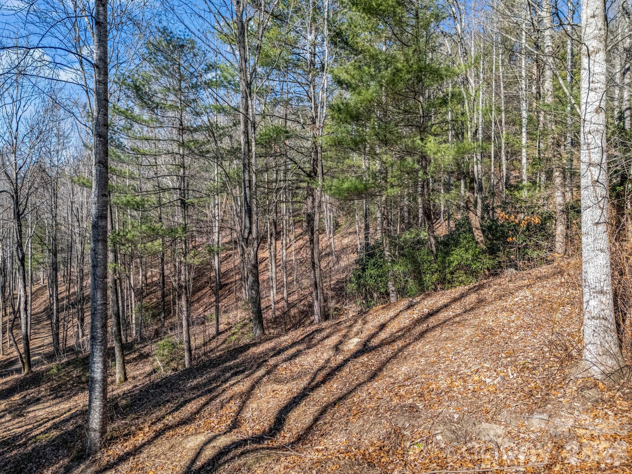 181 Justamere Lane Hendersonville NC 28739