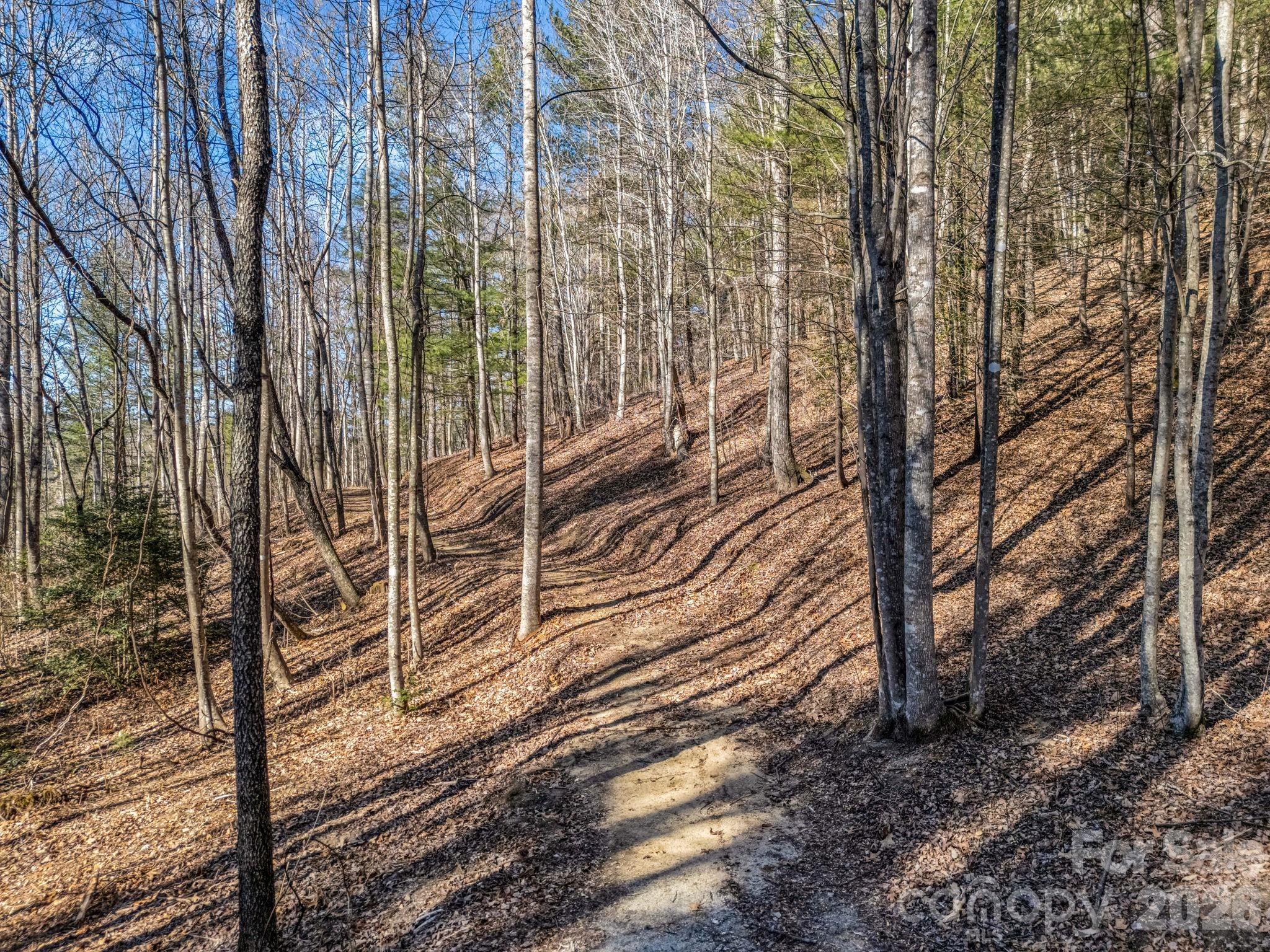 181 Justamere Lane Hendersonville NC 28739