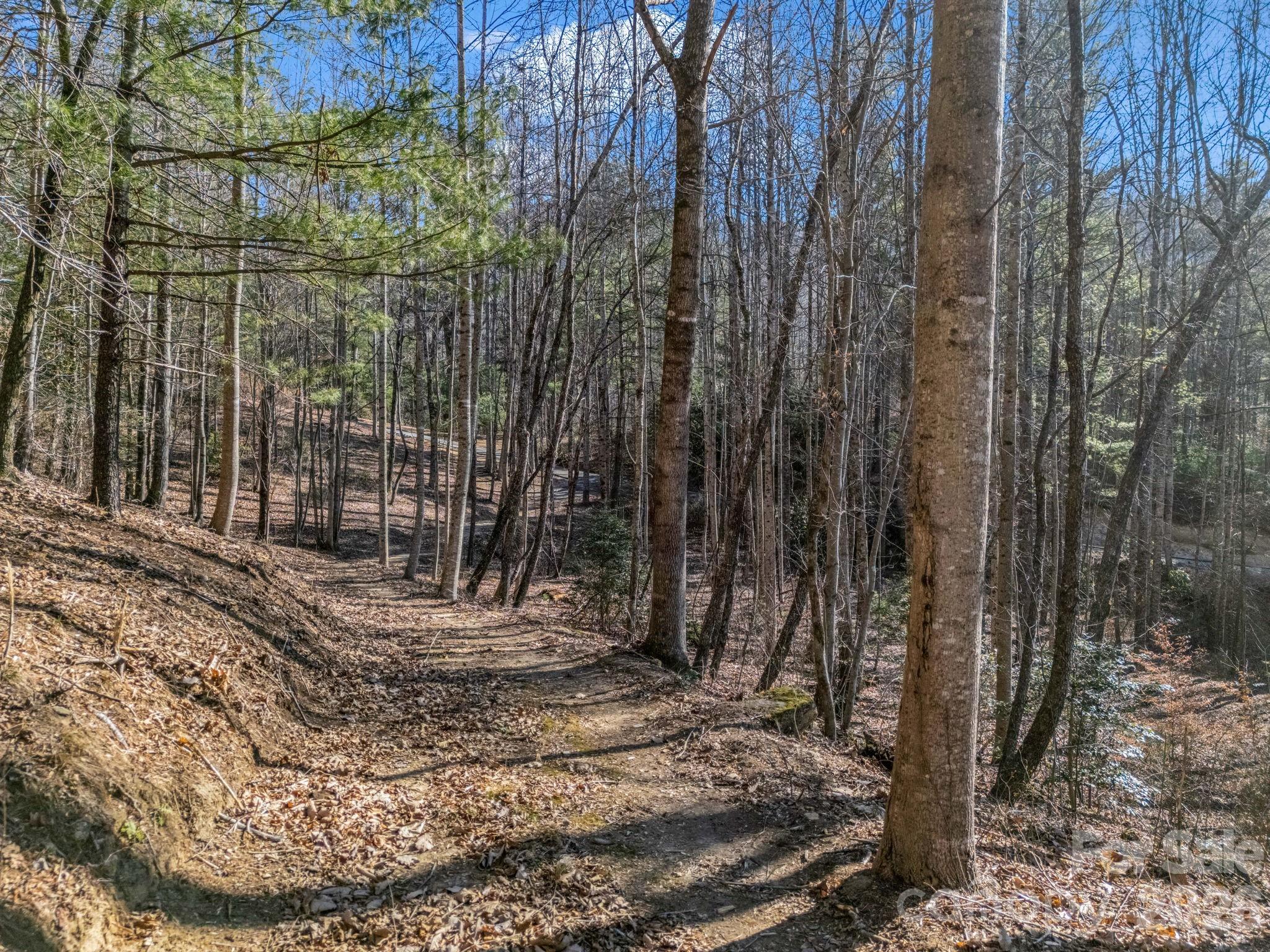 181 Justamere Lane Hendersonville NC 28739