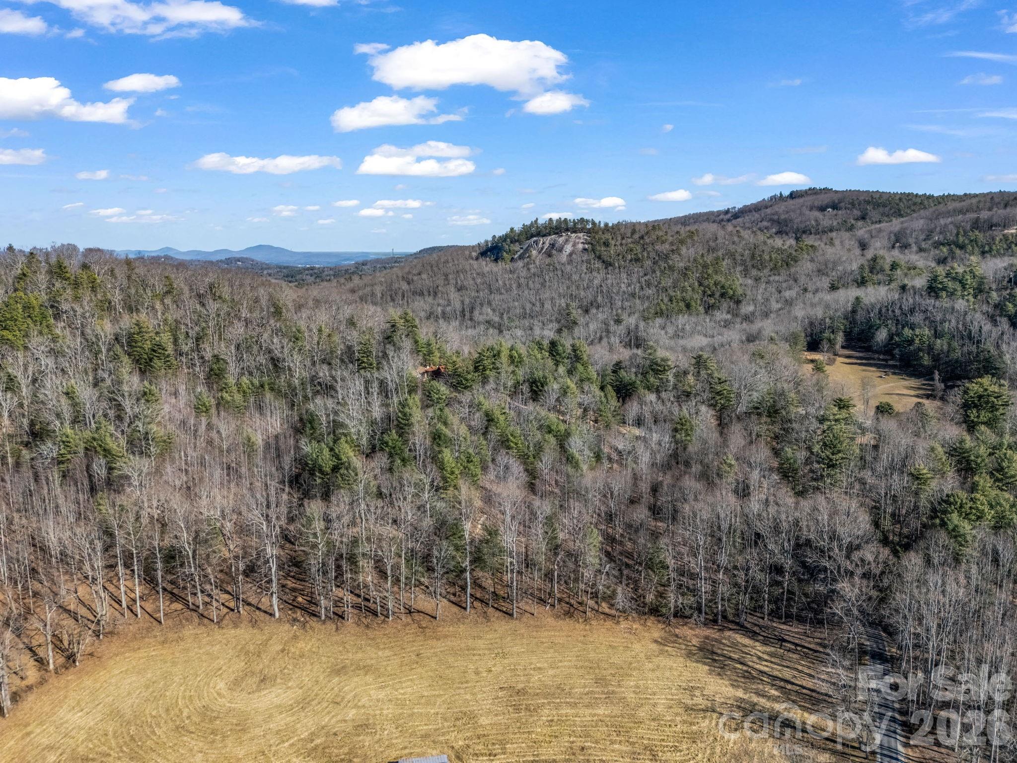 181 Justamere Lane Hendersonville NC 28739