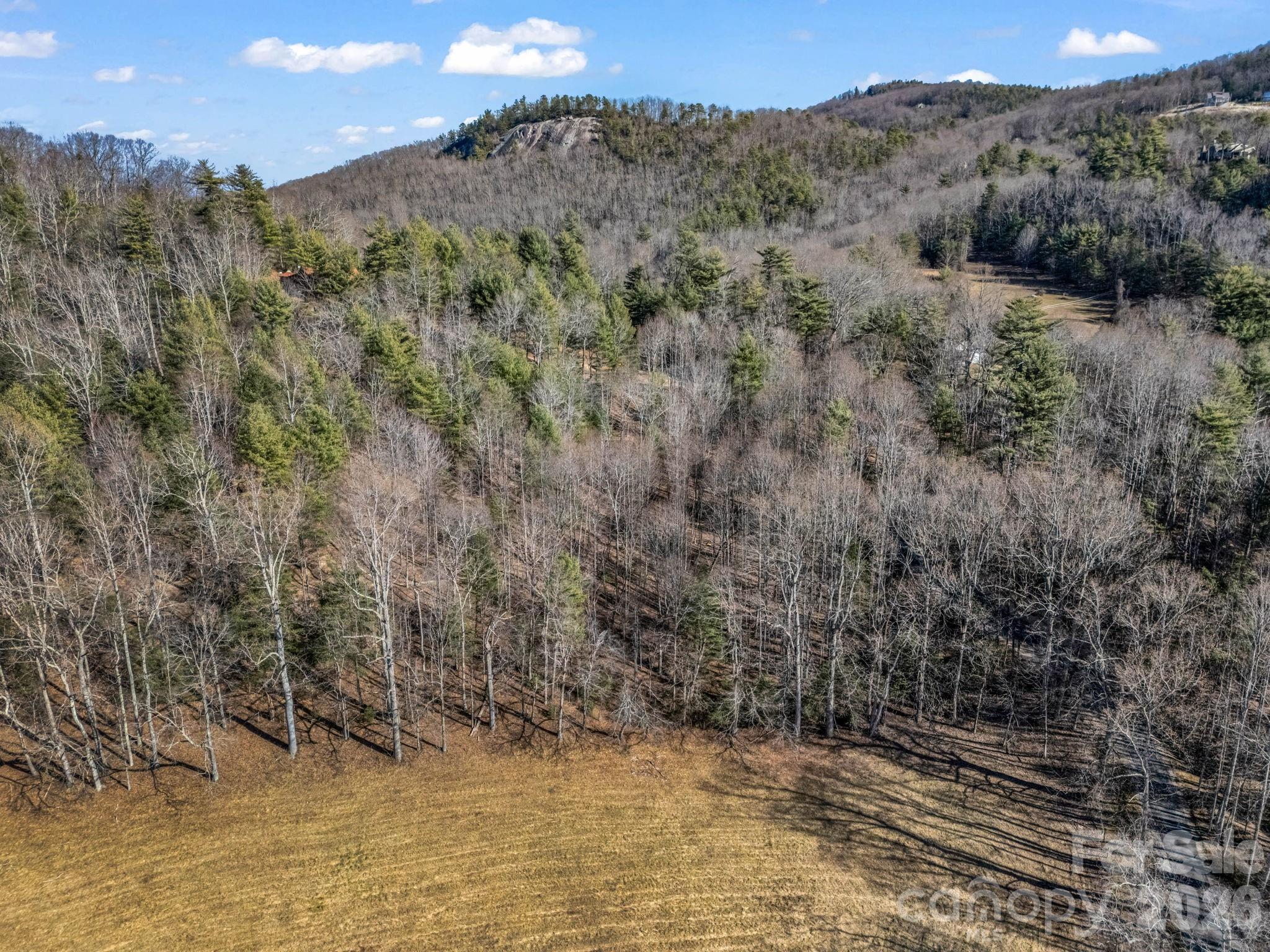 181 Justamere Lane Hendersonville NC 28739