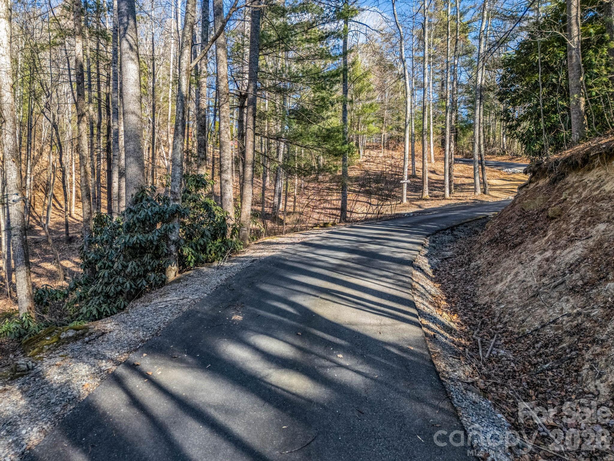 181 Justamere Lane Hendersonville NC 28739