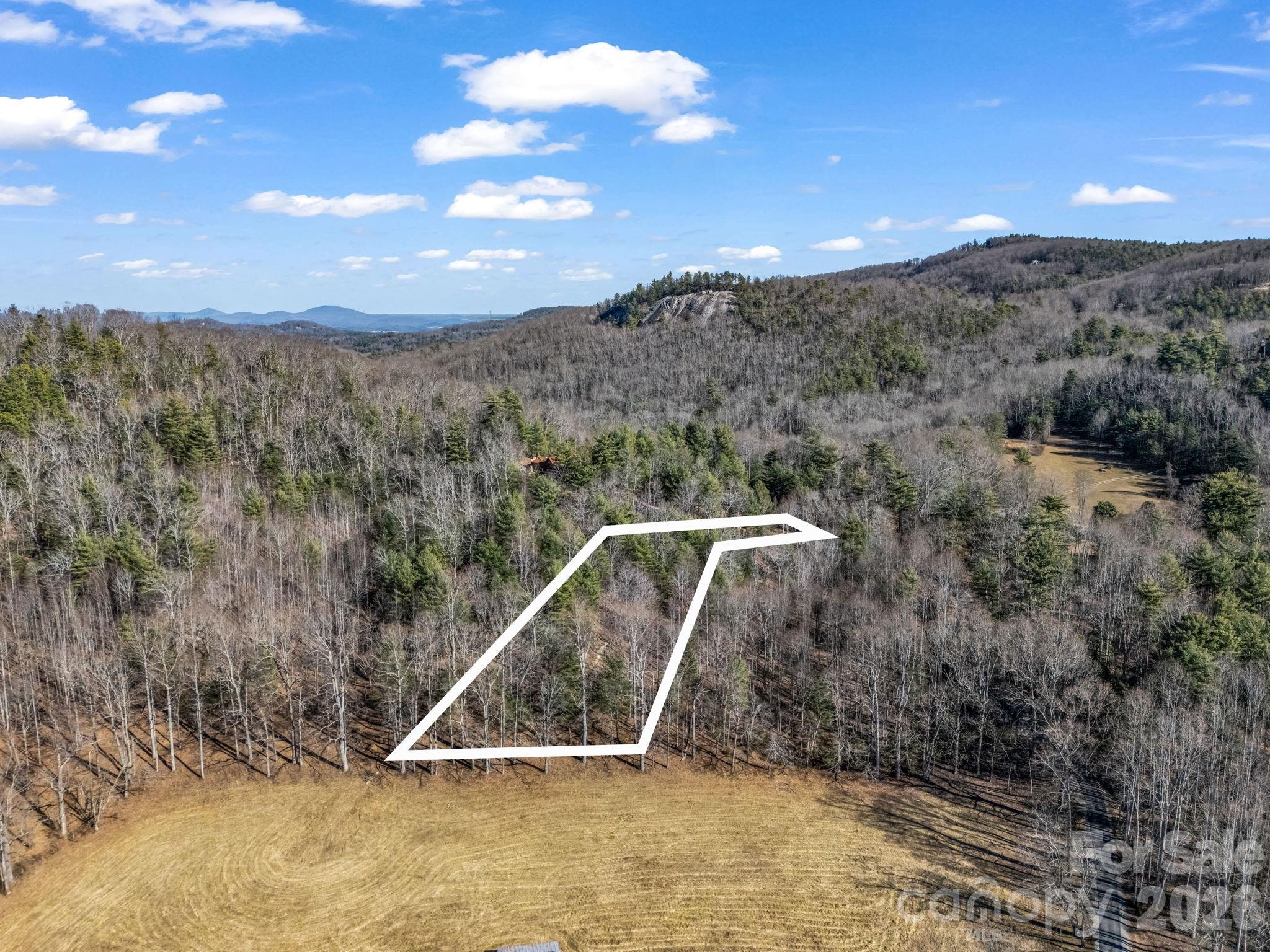 181 Justamere Lane Hendersonville NC 28739