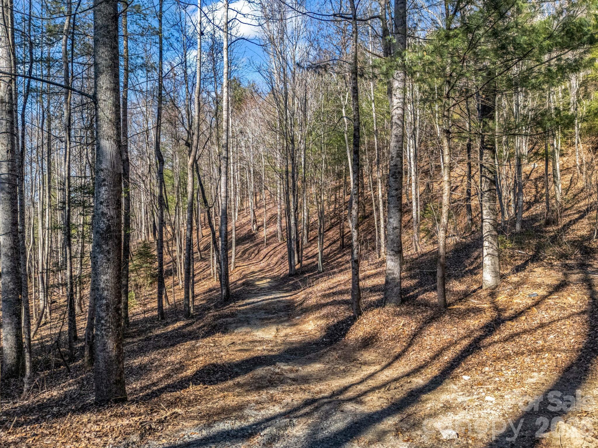 181 Justamere Lane Hendersonville NC 28739