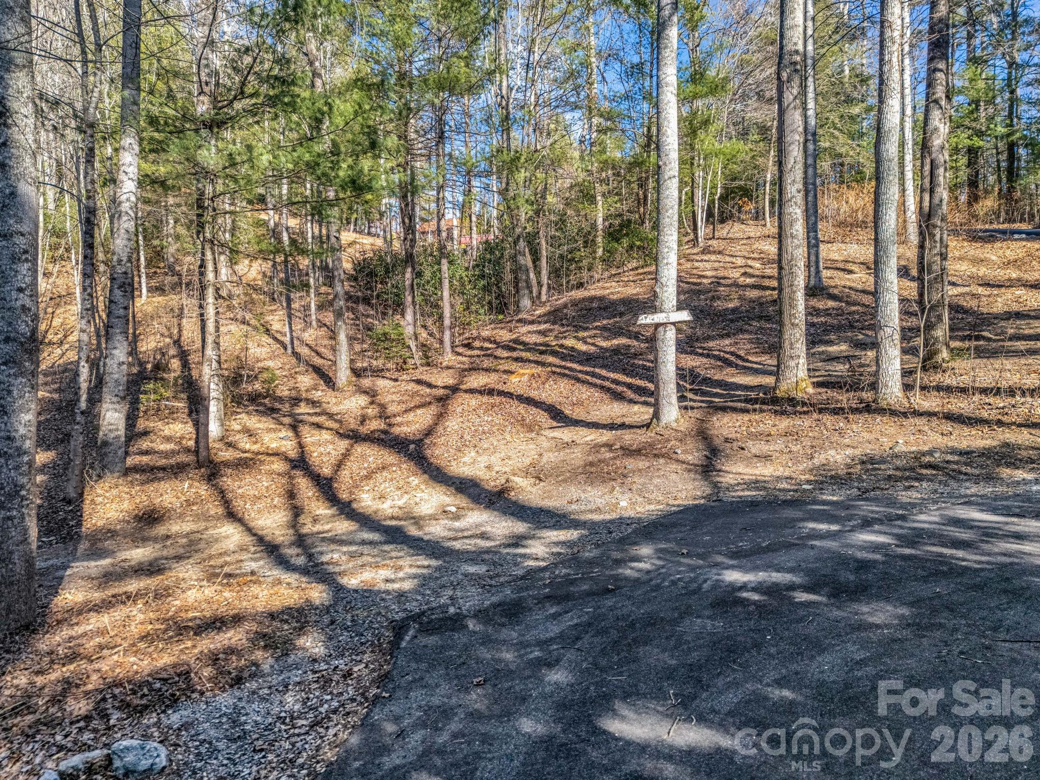 181 Justamere Lane Hendersonville NC 28739