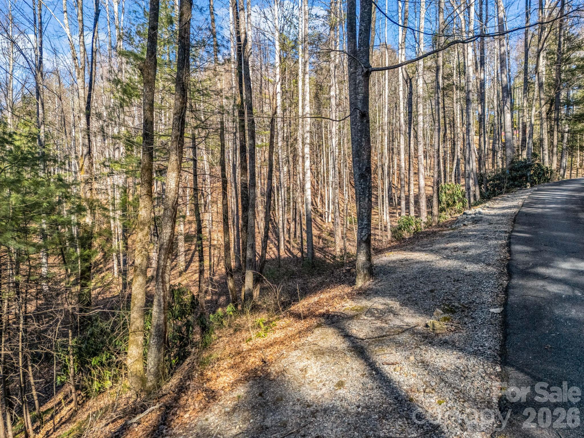 181 Justamere Lane Hendersonville NC 28739