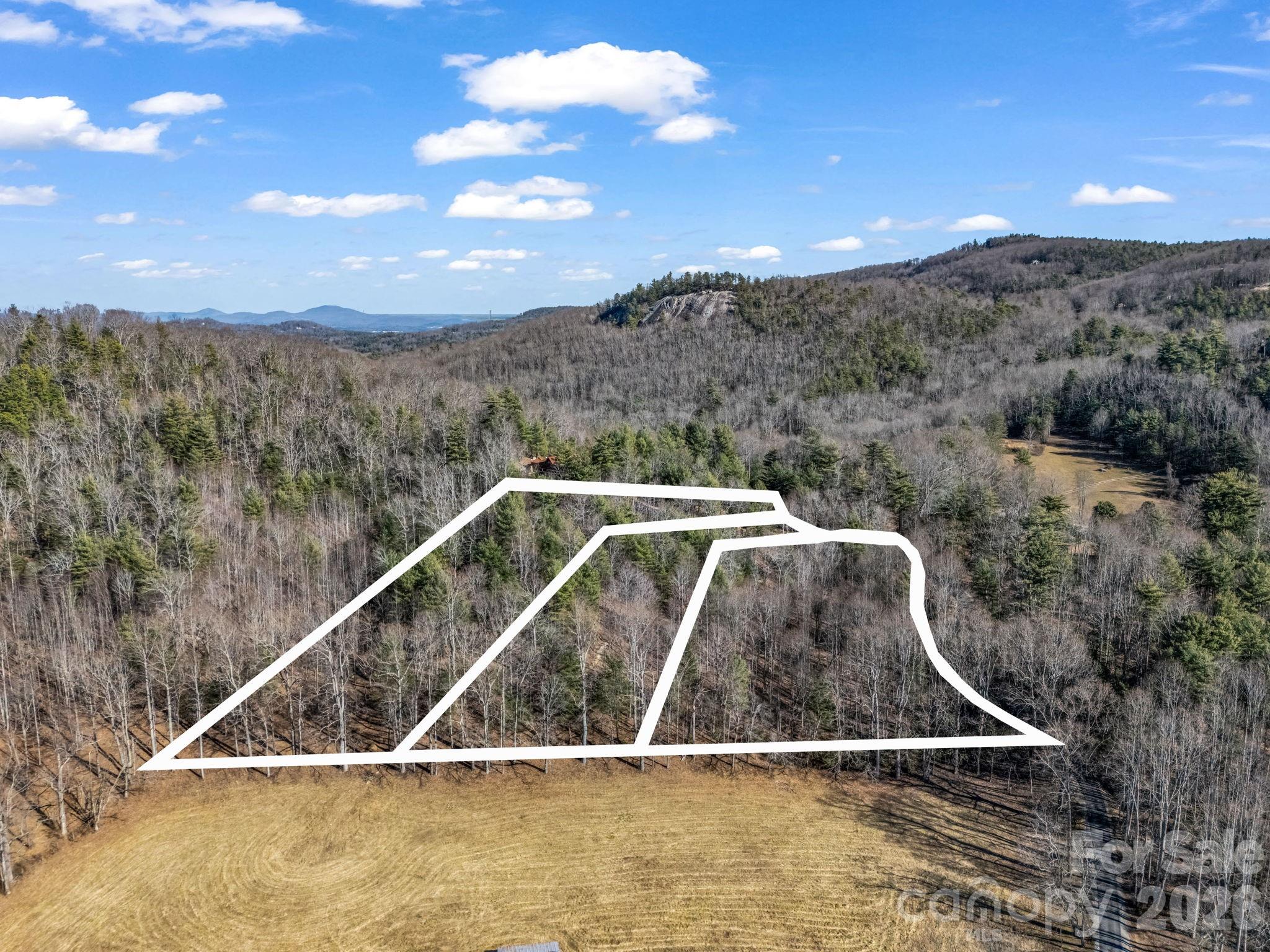 181 Justamere Lane Hendersonville NC 28739