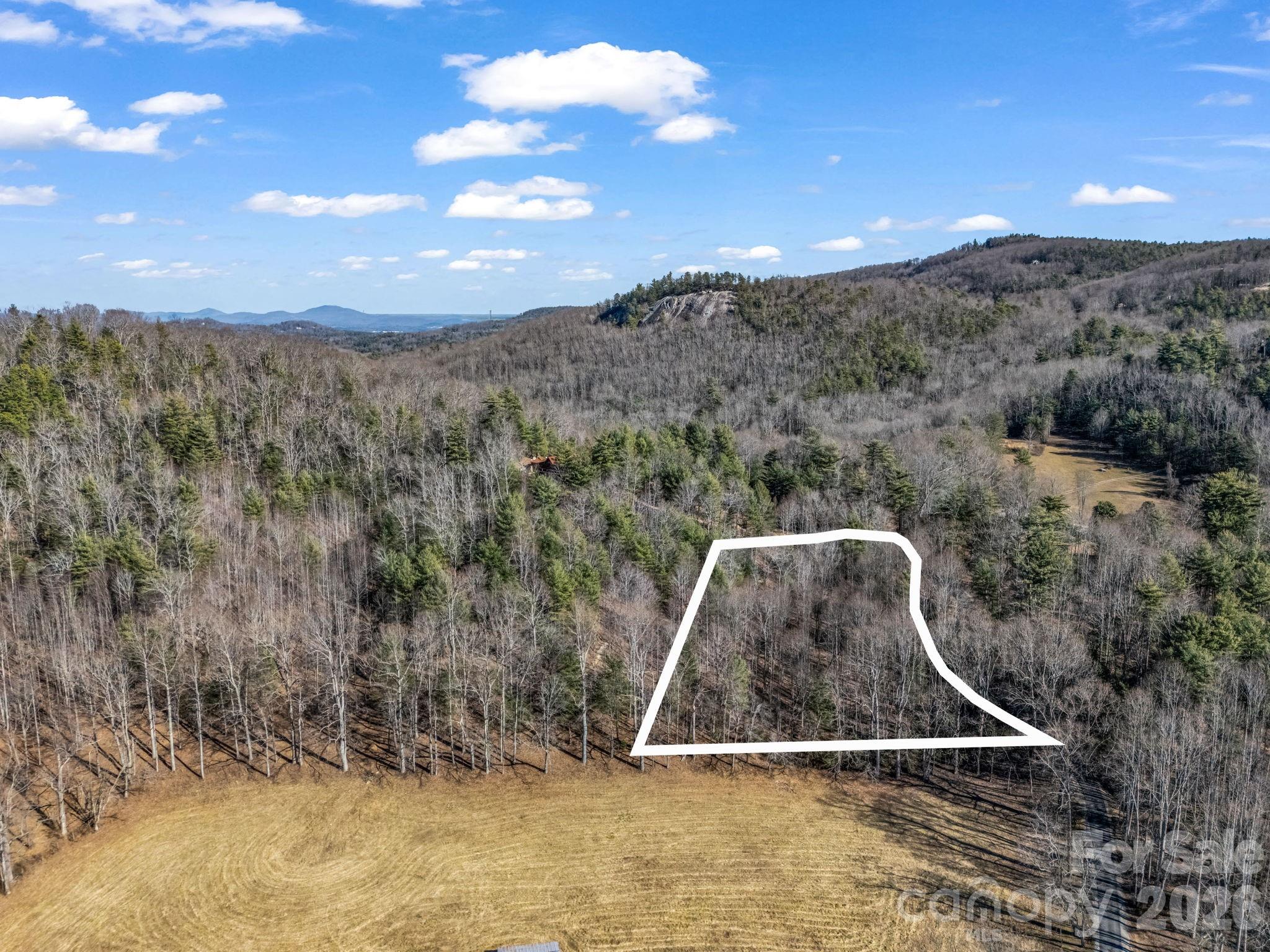 181 Justamere Lane Hendersonville NC 28739