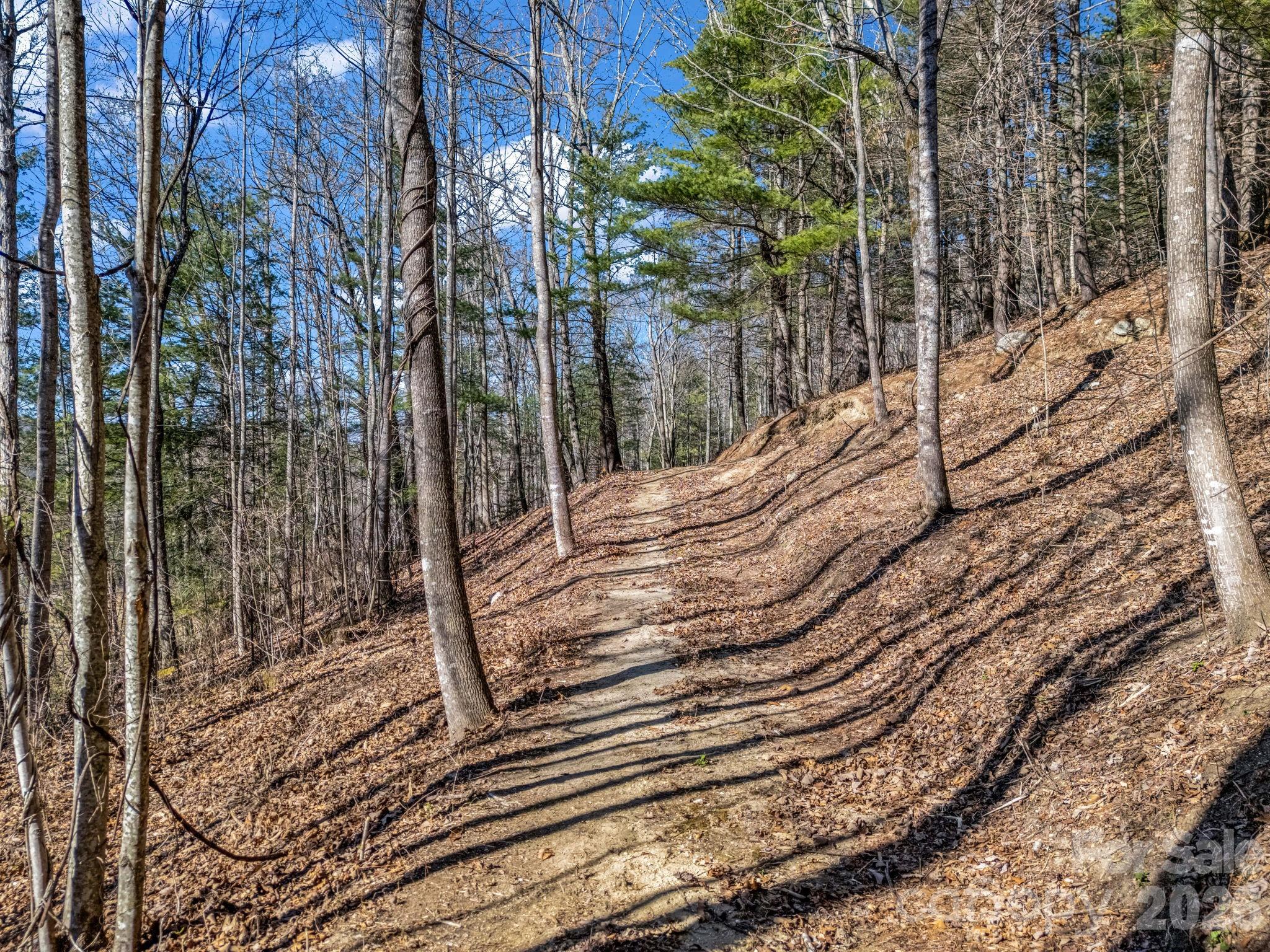 181 Justamere Lane Hendersonville NC 28739