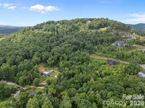 W12 Curtain Bluff Hendersonville NC 28791
