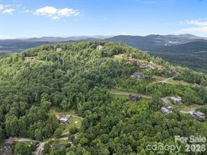 W12 Curtain Bluff Hendersonville NC 28791