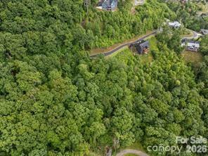 W12 Curtain Bluff Hendersonville NC 28791