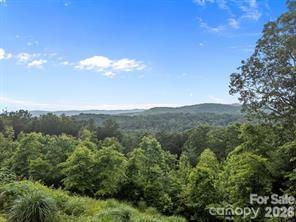 W12 Curtain Bluff Hendersonville NC 28791