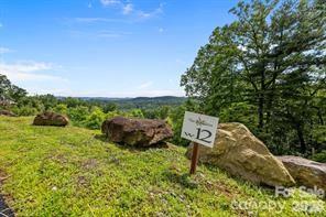 W12 Curtain Bluff Hendersonville NC 28791