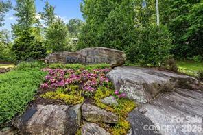 W12 Curtain Bluff Hendersonville NC 28791
