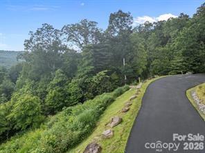 W12 Curtain Bluff Hendersonville NC 28791