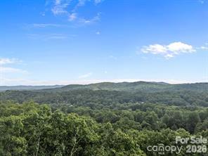 W12 Curtain Bluff Hendersonville NC 28791