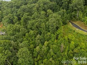 W12 Curtain Bluff Hendersonville NC 28791