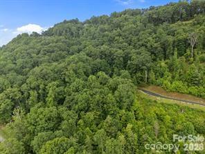 W12 Curtain Bluff Hendersonville NC 28791