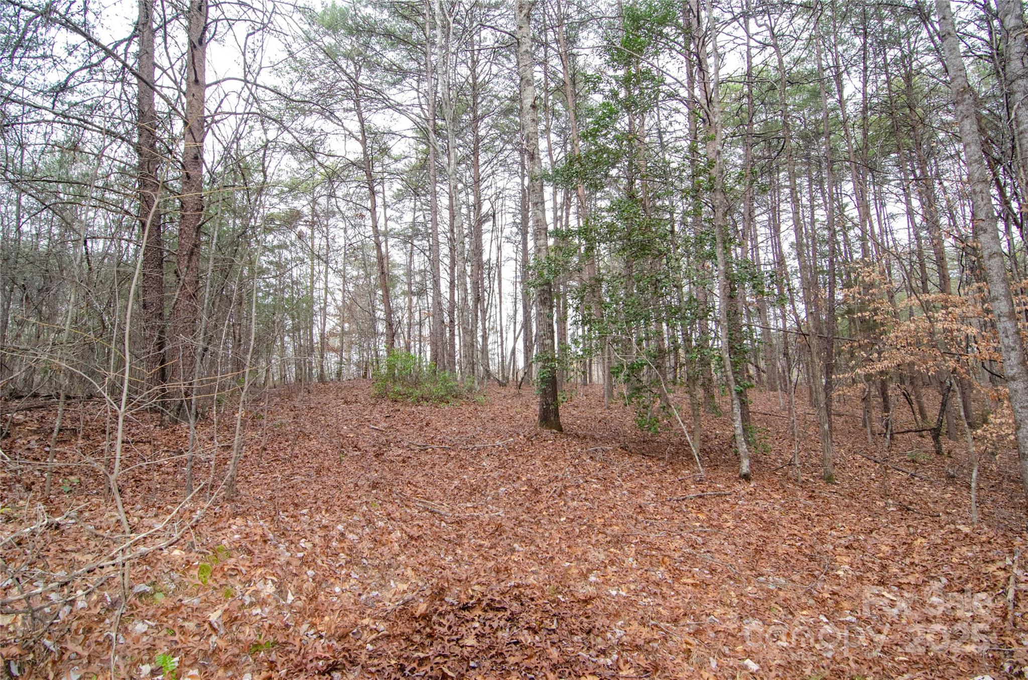 0 Rainbow Rapids Road Rutherfordton NC 28139
