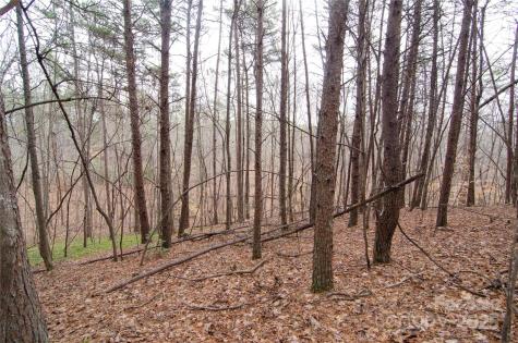 0 Rainbow Rapids Road Rutherfordton NC 28139