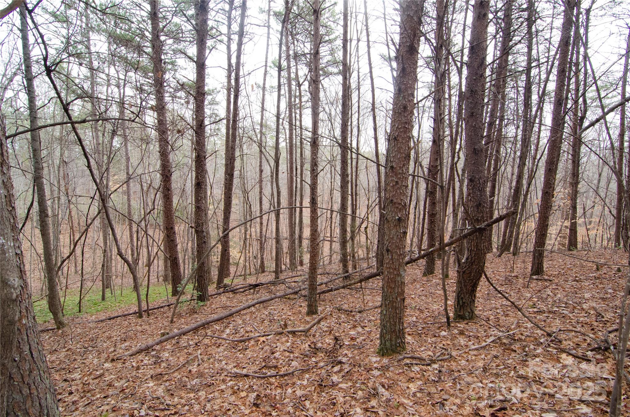 0 Rainbow Rapids Road Rutherfordton NC 28139