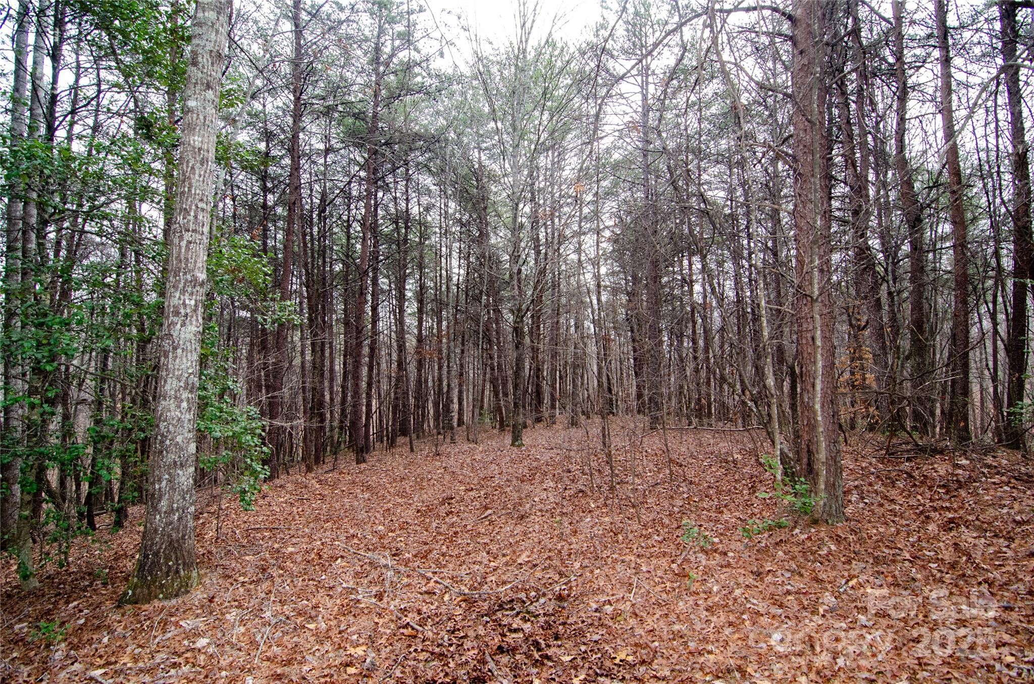 0 Rainbow Rapids Road Rutherfordton NC 28139