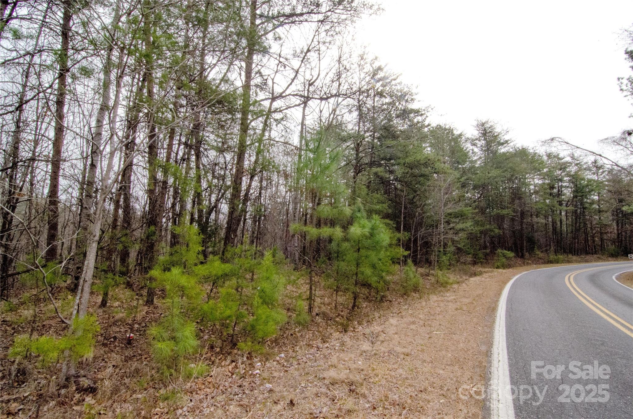 0 Rainbow Rapids Road Rutherfordton NC 28139