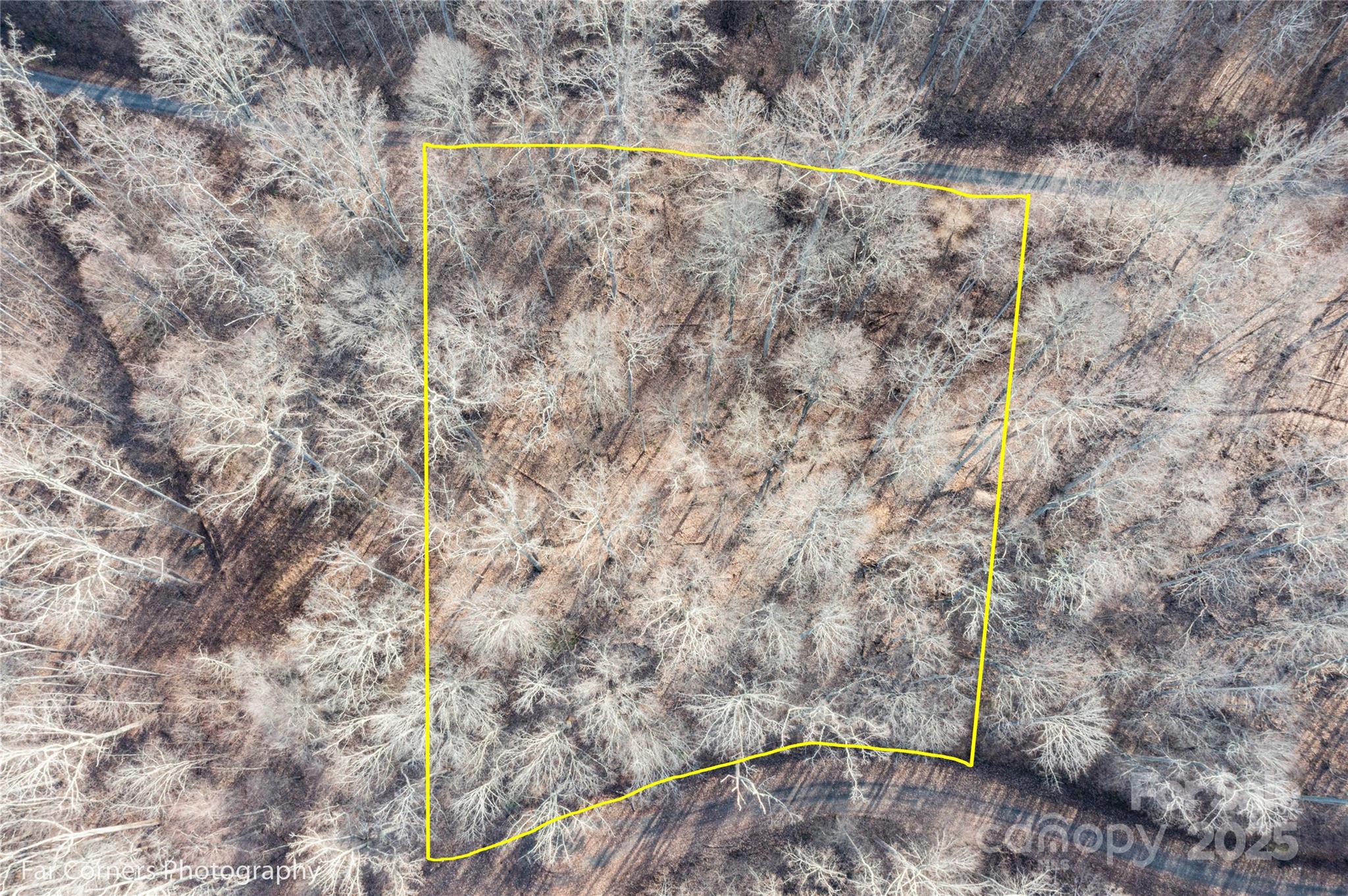 99999 Little Pond Pass Mars Hill NC 28754