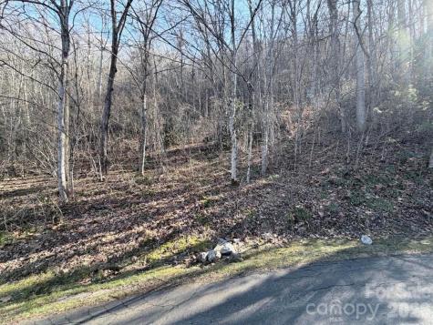 76 View Ridge Parkway Leicester NC 28748